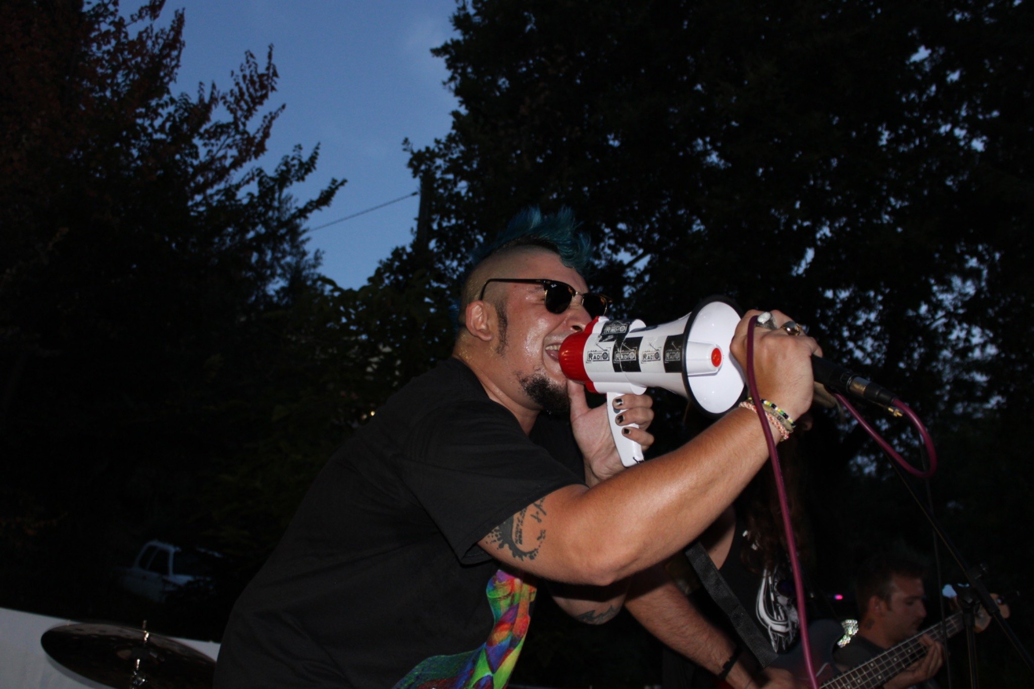 Punk Ducali live photo